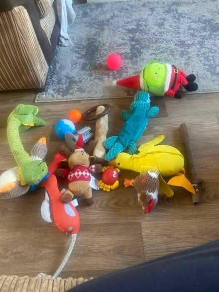 Photo of free basket of Dog toys (Whins of Milton FK7) #1