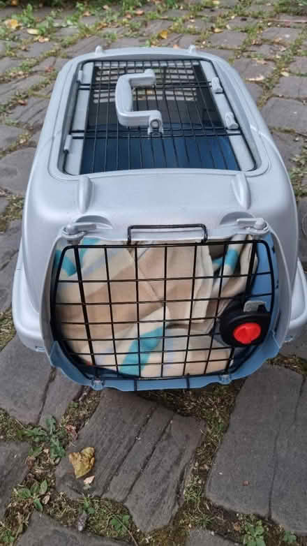 Photo of free Cat carrier (Irlams o th Height M6) #1