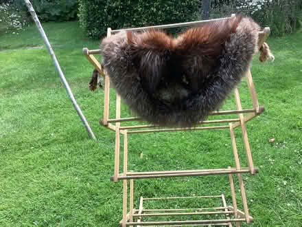 Photo of free fox fur (Pembridge HR6) #1