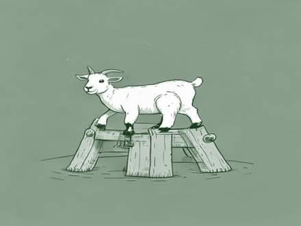 Photo of Sturdy wooden items for goats to climb on. (Loudwater HP11) #1