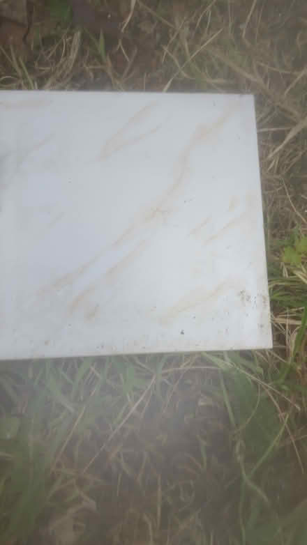 Photo of free Wall tiles (Innishannon) #1