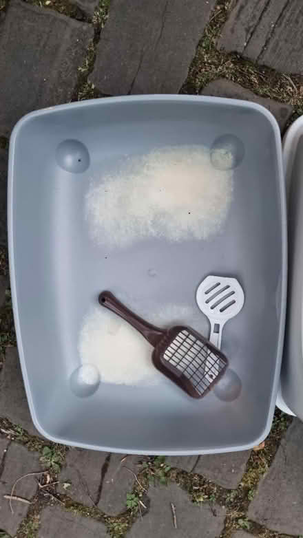 Photo of free Cat litter tray (Irlams o th Height M6) #2