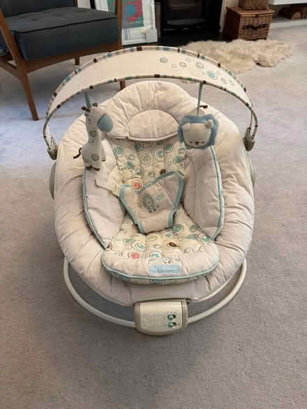 Photo of free Baby bouncer, vibrating (Ealing W5) #1
