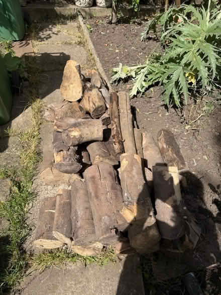 Photo of free Seasoned sycamore wood (Hanwell) #2
