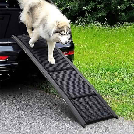 Photo of Dog ramp for stairs (Rowditch DE22) #1