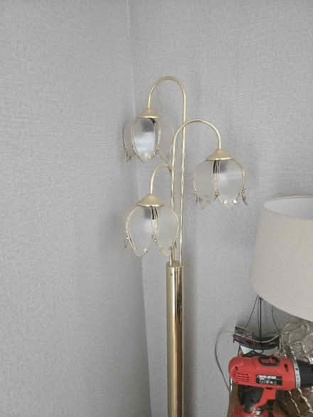Photo of free Tall lamp (Chaddesden DE21) #1
