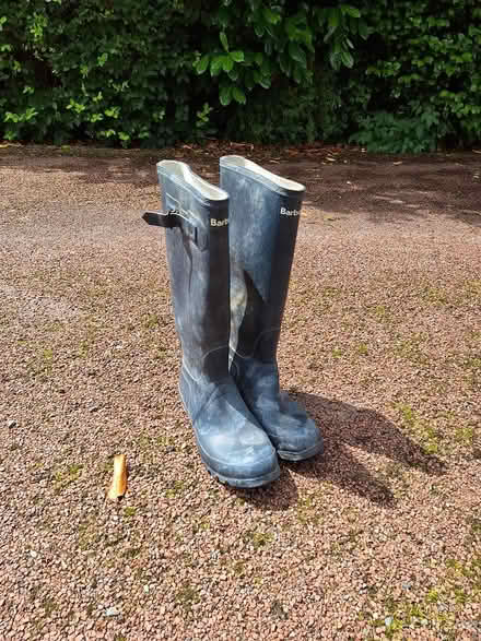 Photo of free Wellington Boots (Thackthwaite) #1