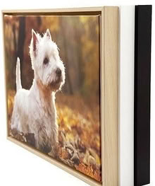 Photo of Canvas photos printed paintings pictures (Rowditch DE22) #2