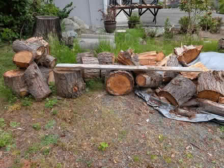 Photo of free Tree rounds & old lumber (Race Road) #2