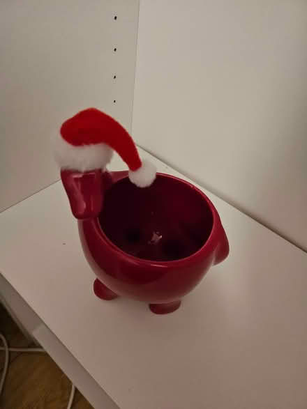 Photo of free Dino plant pot/trinket dish (Shiregreen S5 0AN) #2