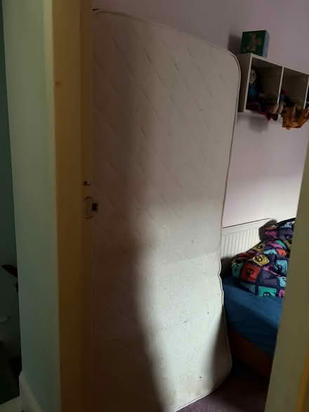Photo of free Single mattress (LE3) #1