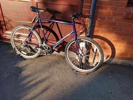 Photo of free Ladies and Gents Bicycles (Magor NP26) #3