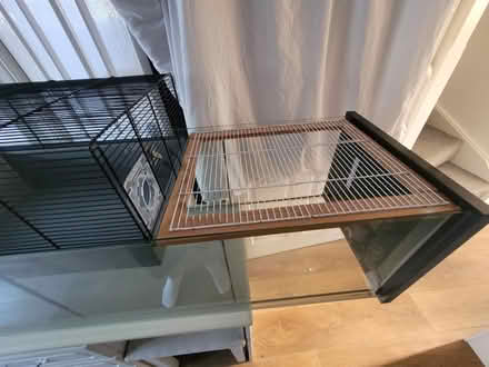Photo of free Hamster cage (Scarlett avenue HP22) #4