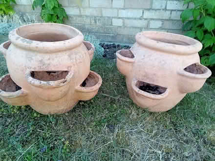 Photo of free Pair of strawberry planters (Brickhill MK41) #1
