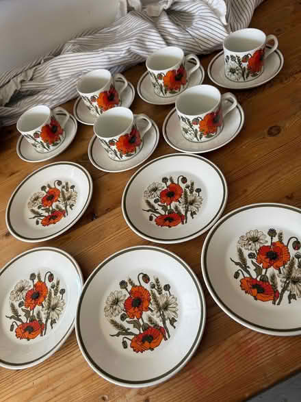 Photo of free Meakin poppy set (Willingdon) #1