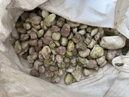 Photo of free Polar white Garden Cobbles (Elmstead BR7) #2