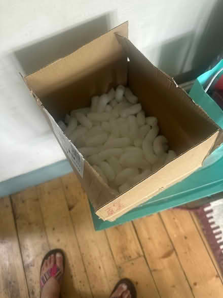 Photo of free Polystyrene peanuts (Heysham LA3) #1