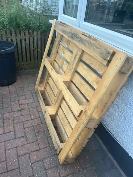 Photo of free Wooden pallet (Twickenham TW2) #1