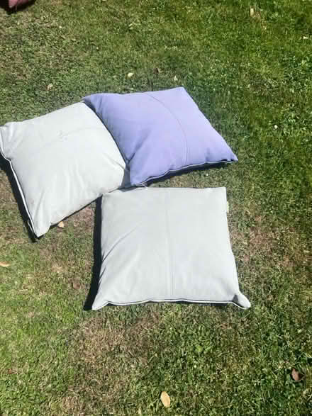 Photo of free 3 external cushions (Lambs Green RH12) #1