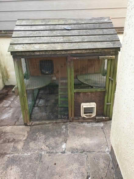 Photo of free Hen house slightly modified for cats but can revert to hens. (Patcham BN1) #3