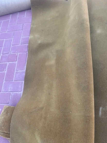 Photo of free Rugs (TW19) #1