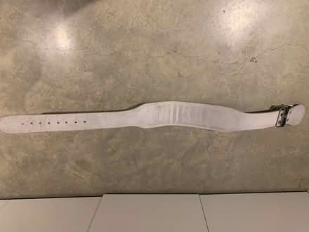 Photo of free Deadlifting/Weightlifting belt (Camden tube station NW1) #2