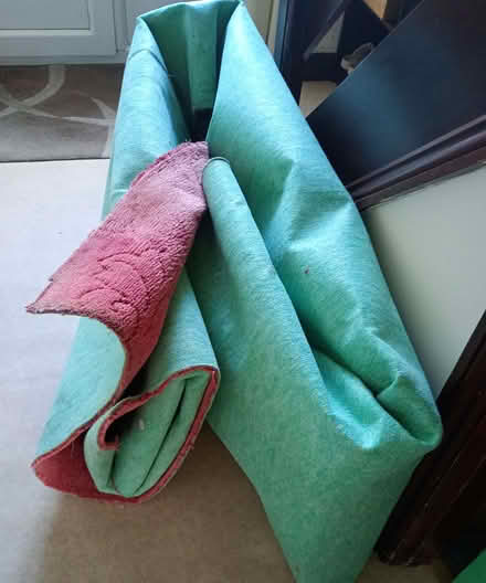 Photo of free Carpet (North Anston S25) #1