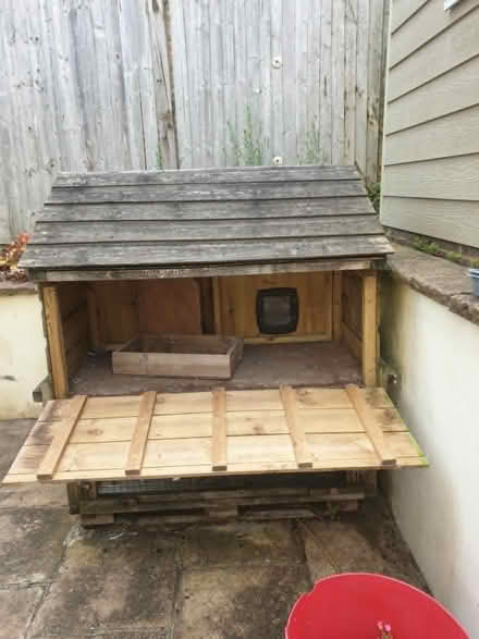 Photo of free Hen house slightly modified for cats but can revert to hens. (Patcham BN1) #2