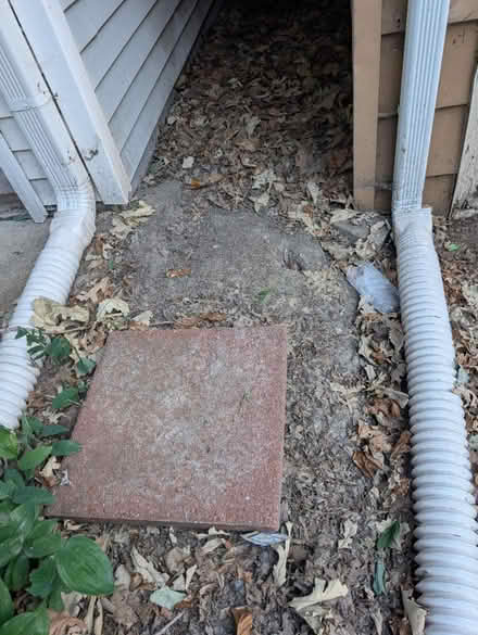 Photo of free Paver (Downtown Oak Park) #1