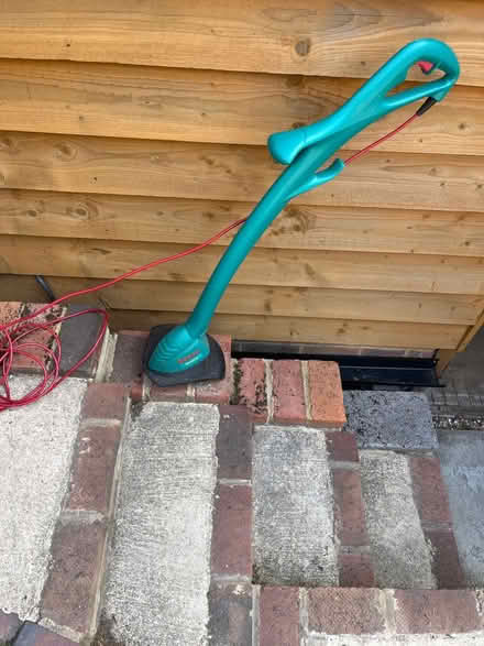 Photo of free Strimmer (Chiddingstone) #1