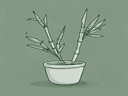 Photo of free yellow bamboo for a pot (Ramsgate CT11) #1