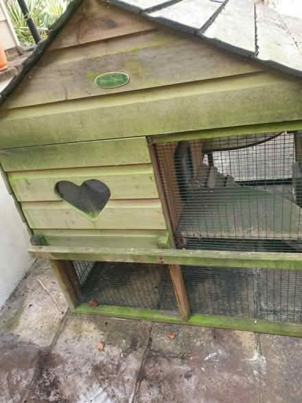 Photo of free Hen house slightly modified for cats but can revert to hens. (Patcham BN1) #4