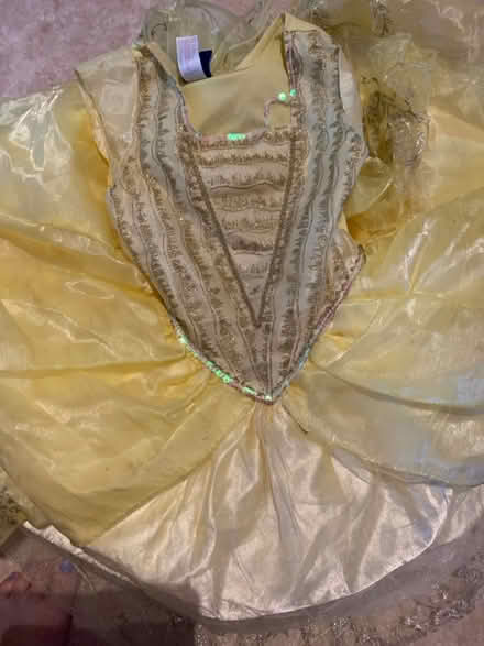 Photo of free Bundle princess dressing up outfits (Lifford, kings Norton B30) #2