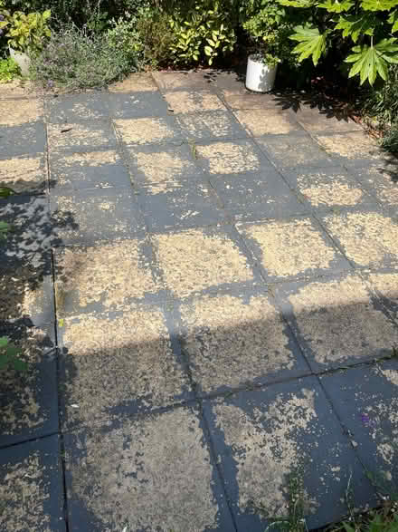 Photo of free 60 Garden Patio Slabs – Used (Pittville GL50) #2