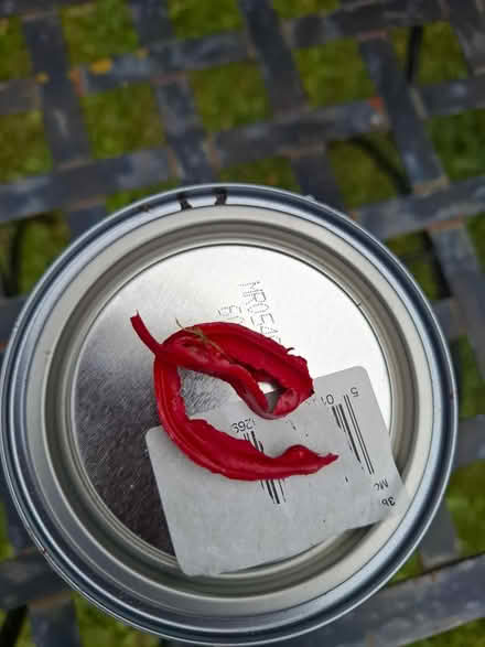 Photo of free Ronseal Fence Paint 750ml (glenageary) #2