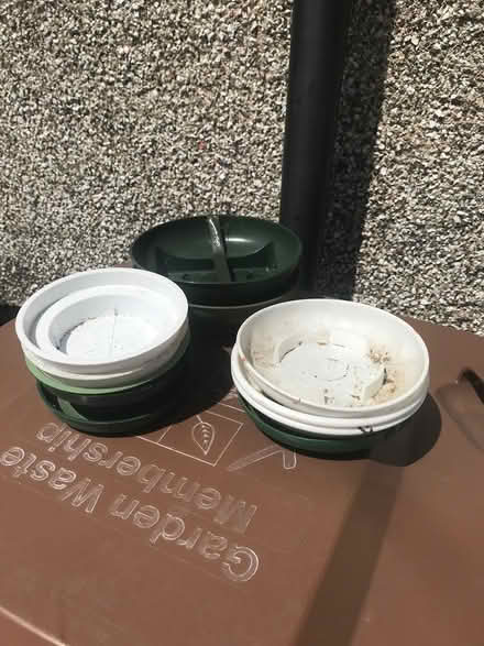 Photo of free Florist's Flower Arranging Saucers (Welling DA16, Off Welling Way) #1