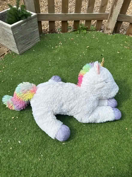 Photo of free Large Magical Unicorn Plush (LU7 9ns) #4