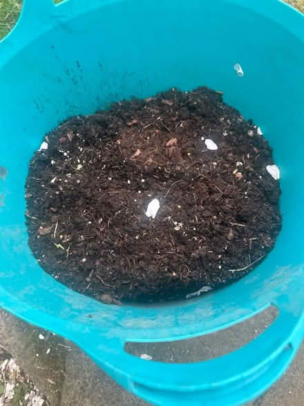 Photo of free Compost (Heysham LA3) #1
