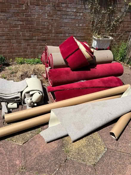 Photo of free Carpet (Cowplain PO8) #1