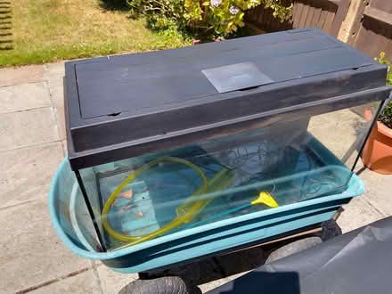 Photo of free Juwel Aquarium (Bexhill TN39) #3