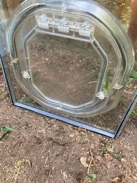Photo of free Double Glazed Unit with Dog Flap (Wellesbourne CV35) #2