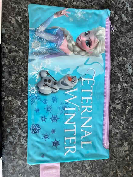 Photo of free Frozen pencil case (Pinkneys Green SL6) #1
