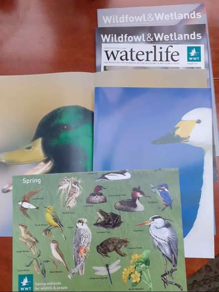 Photo of free Bird magazines & posters (Southport PR8) #1