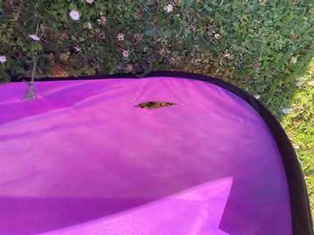 Photo of free Play tent (The Dales IP1) #4