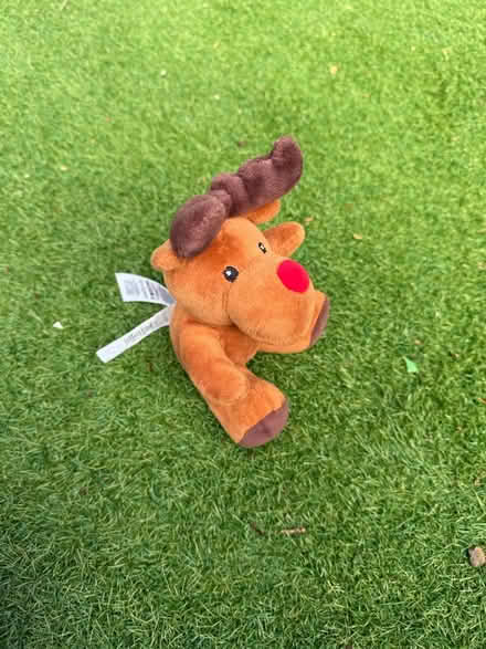 Photo of free Sweet Little Reindeer Plus (LU7 9ns) #3