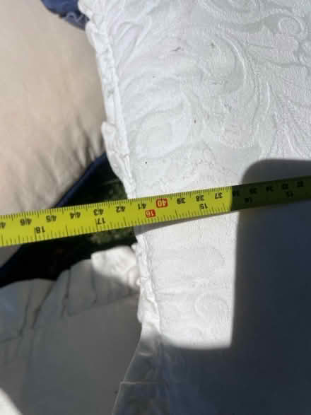 Photo of free 8 scatter cushions (Lambs Green RH12) #2
