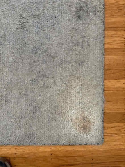 Photo of free Old white rug 5x8 (Berkeley) #3