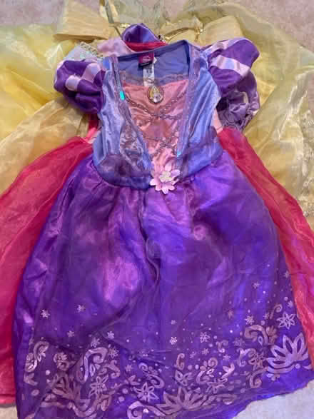 Photo of free Bundle princess dressing up outfits (Lifford, kings Norton B30) #4