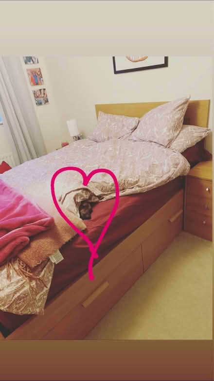 Photo of free Ikea double bed (G43) #1