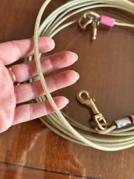 Photo of free 30’ Cable dog chain (Willow Glen) #2